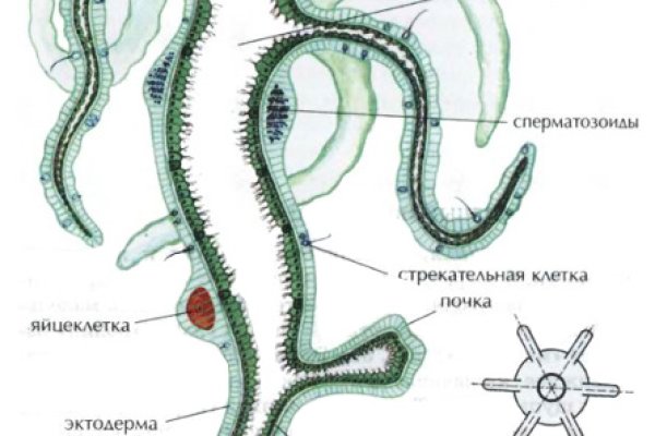Кракен маркетплейс телеграм