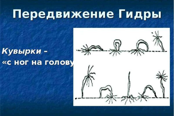 Clear ссылка на кракен