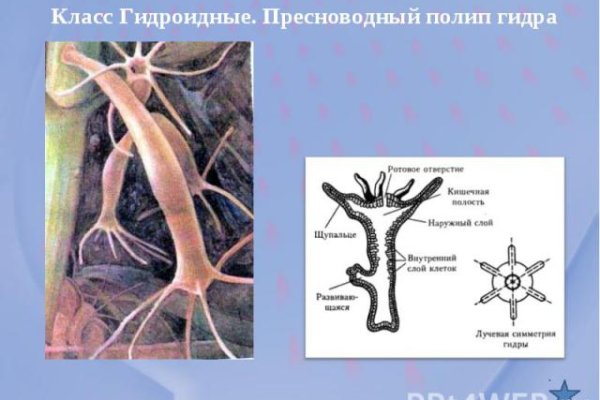 Тор браузер кракен