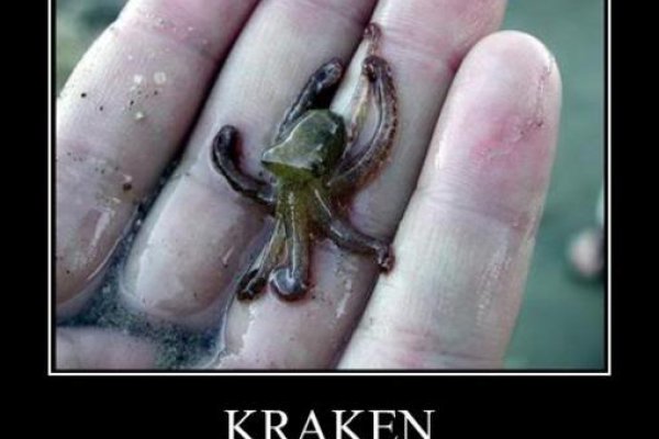 Kraken 20at net