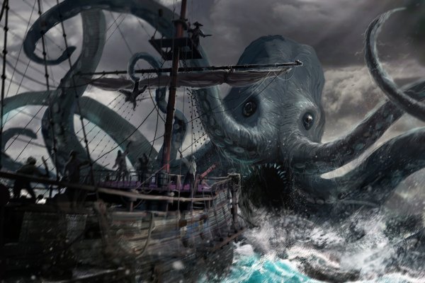 Kraken 24at