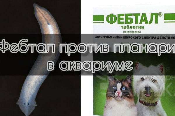 Кракен сайт kr2web in официальный ссылка