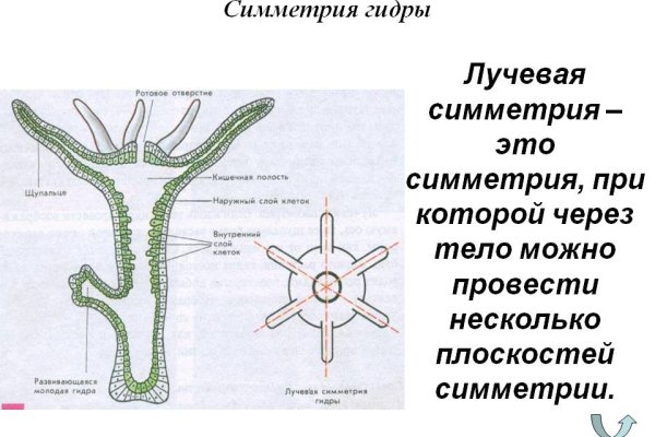 Зеркало на кракен