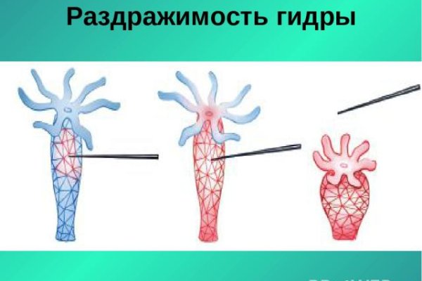 Kraken ссылки актуальные 2025 г
